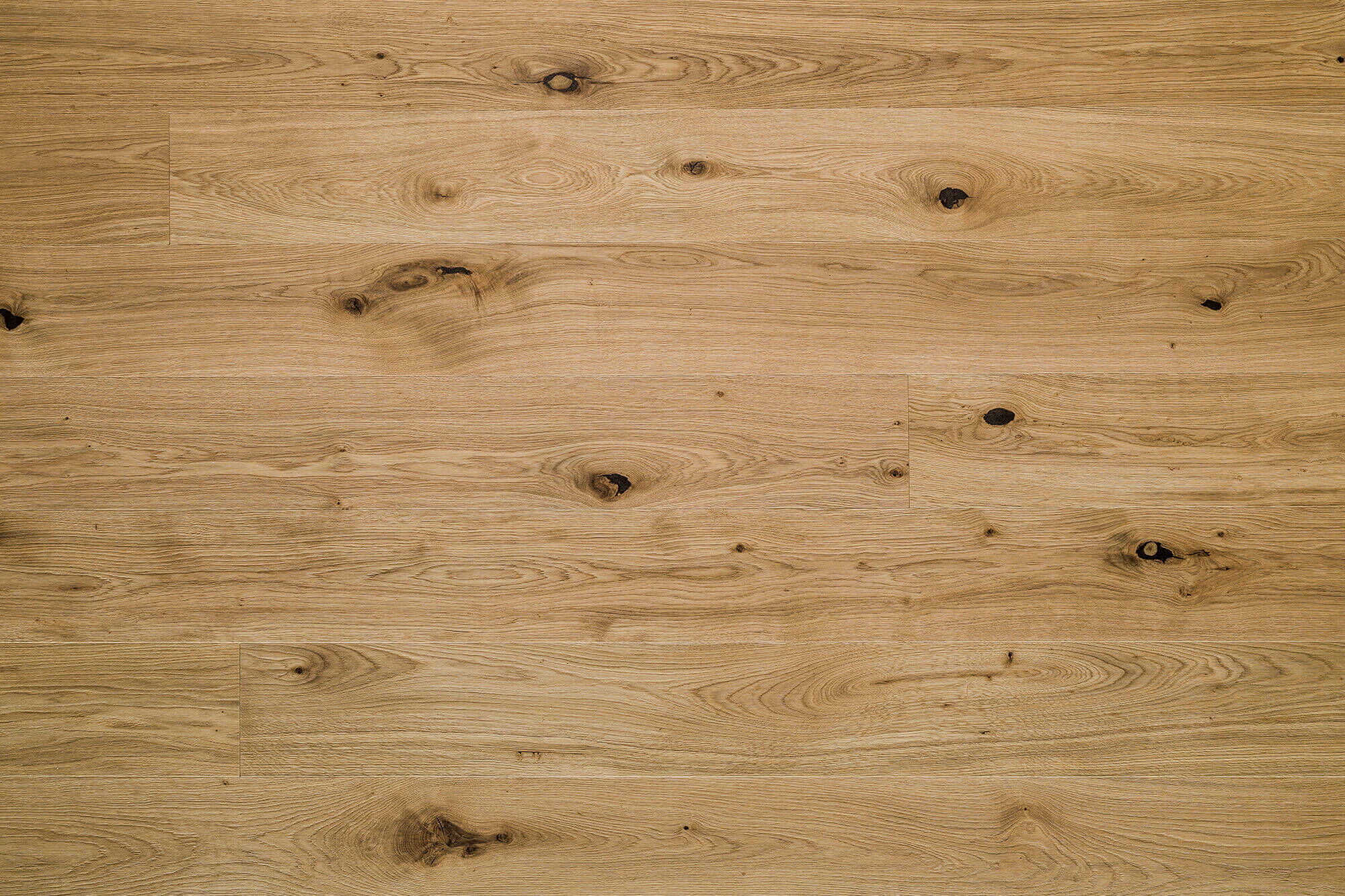 Fläche von Landeichenholzboden Natur