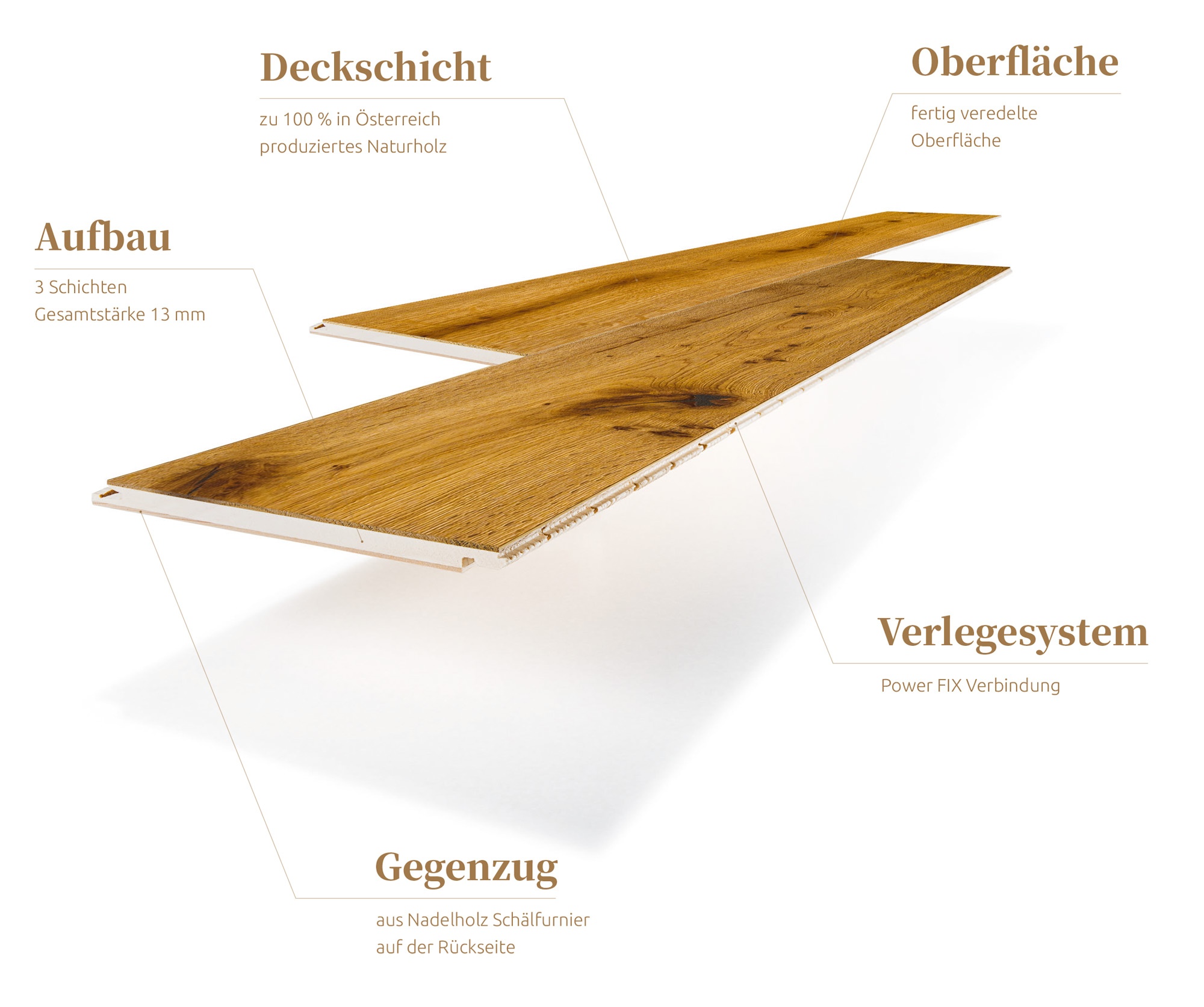 Eigenschaften von Wildeiche