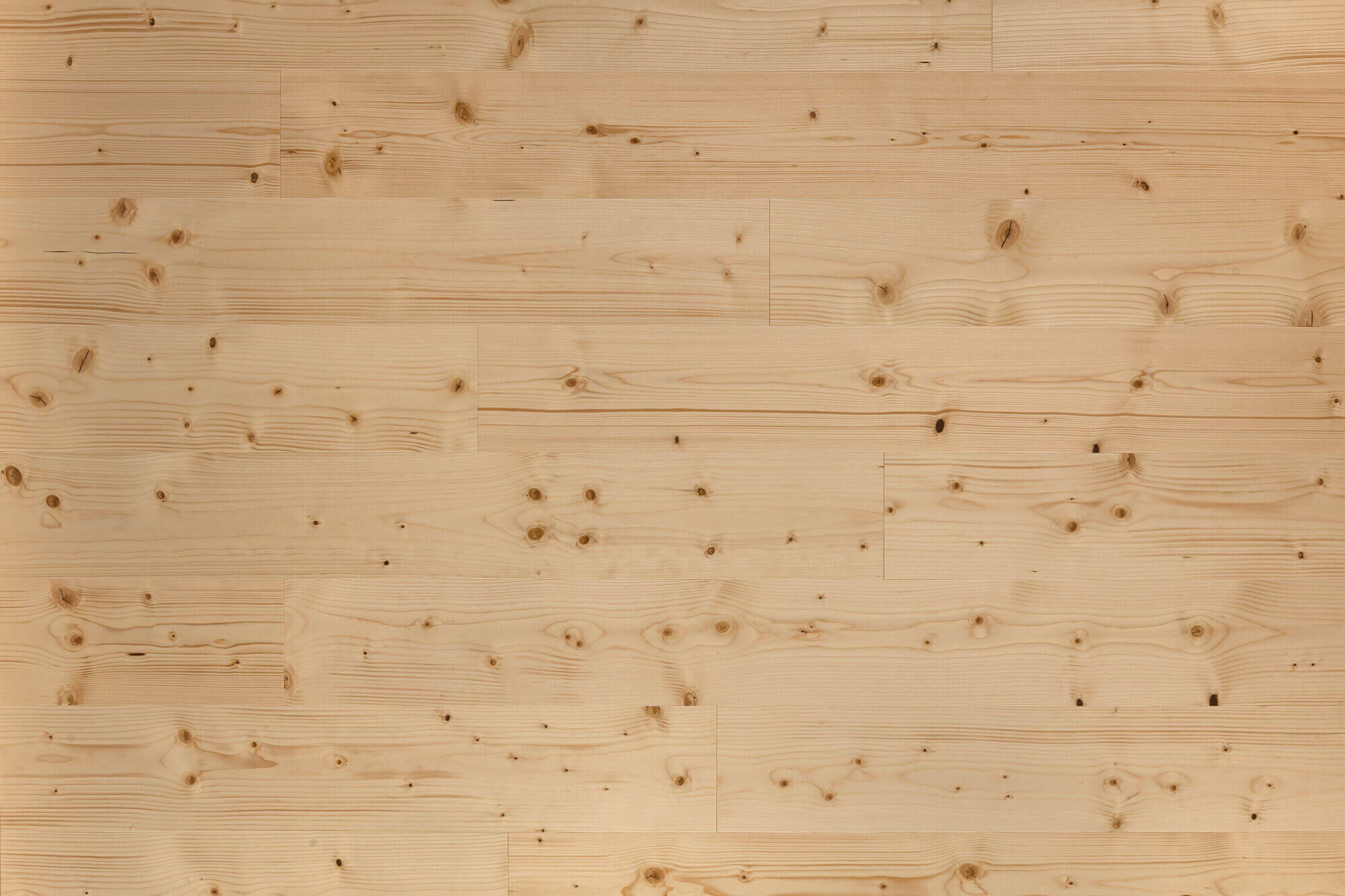 Nadelholzboden Fichte Natur Fläche