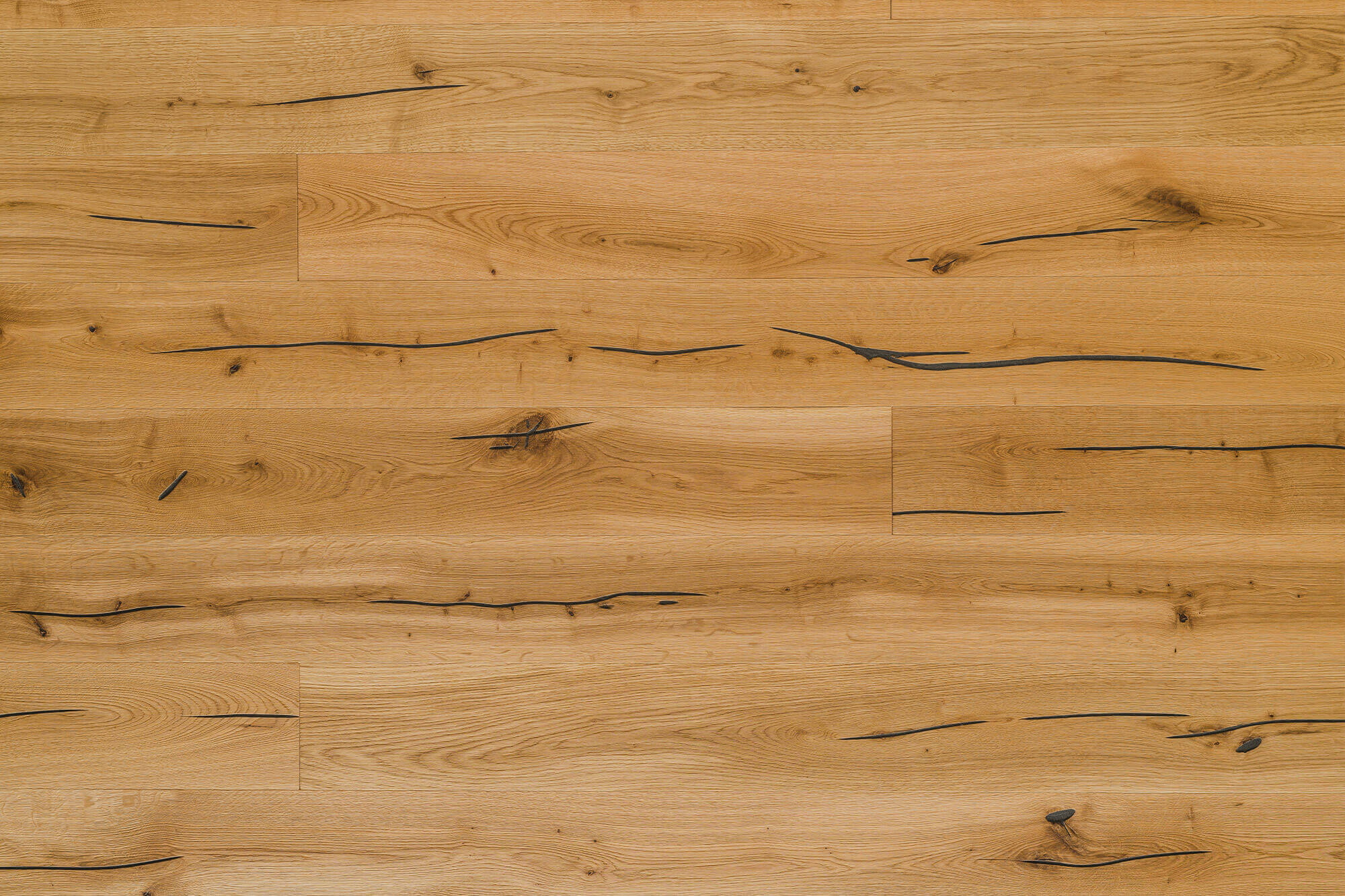 Wildeiche Klamm Fläche