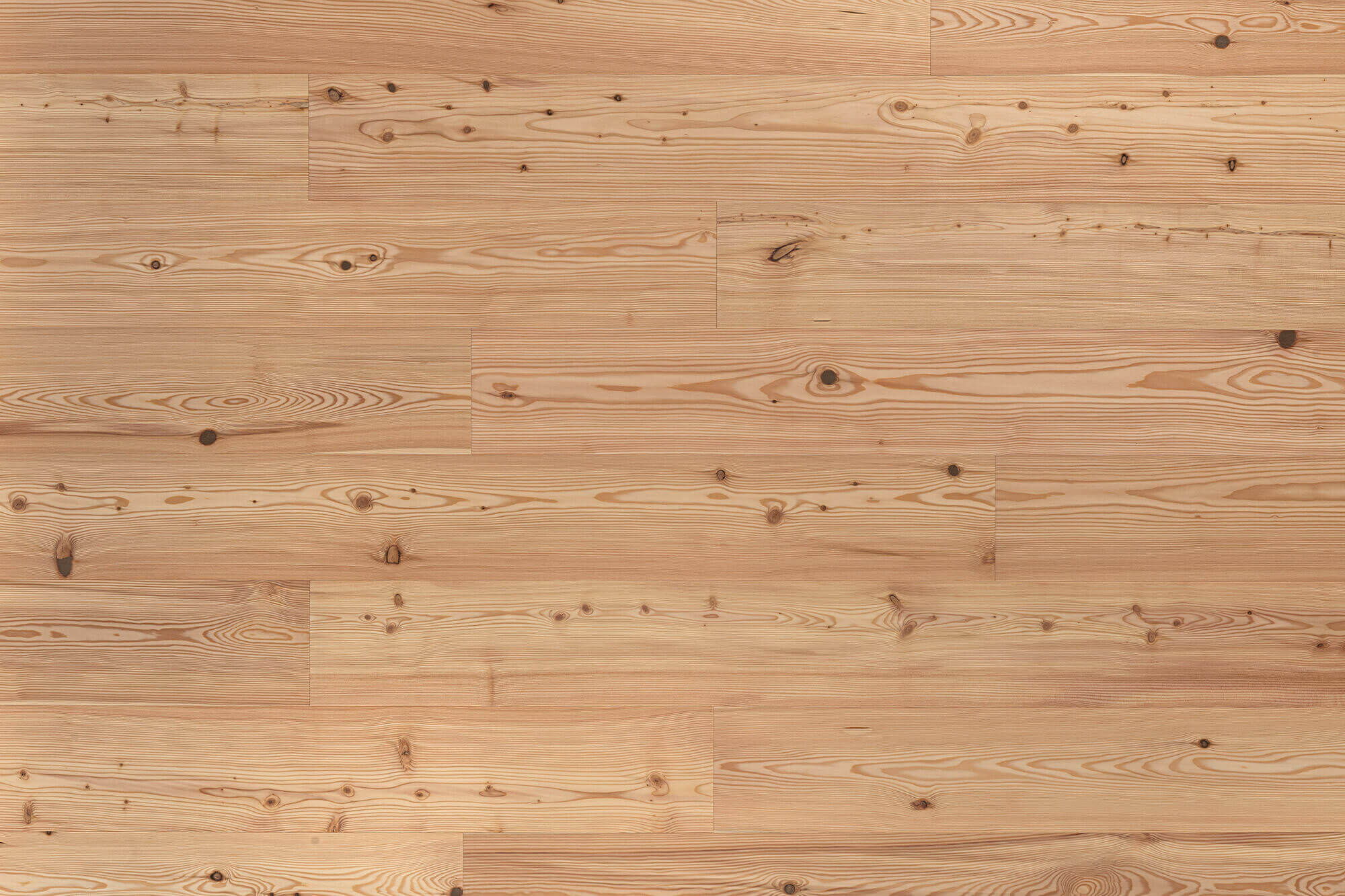 Nadelholzboden Lärche Natura Roheffekt Fläche