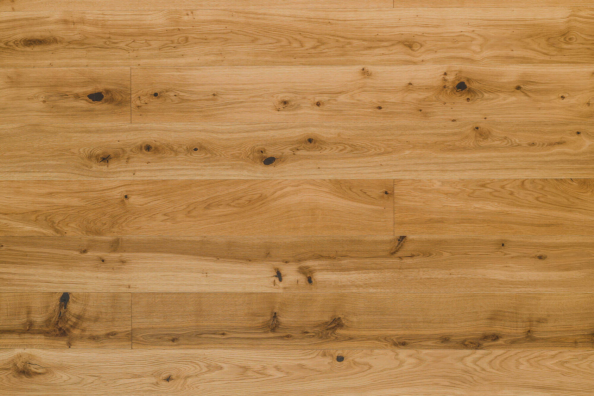 Wildeichenholzboden Natur Fläche