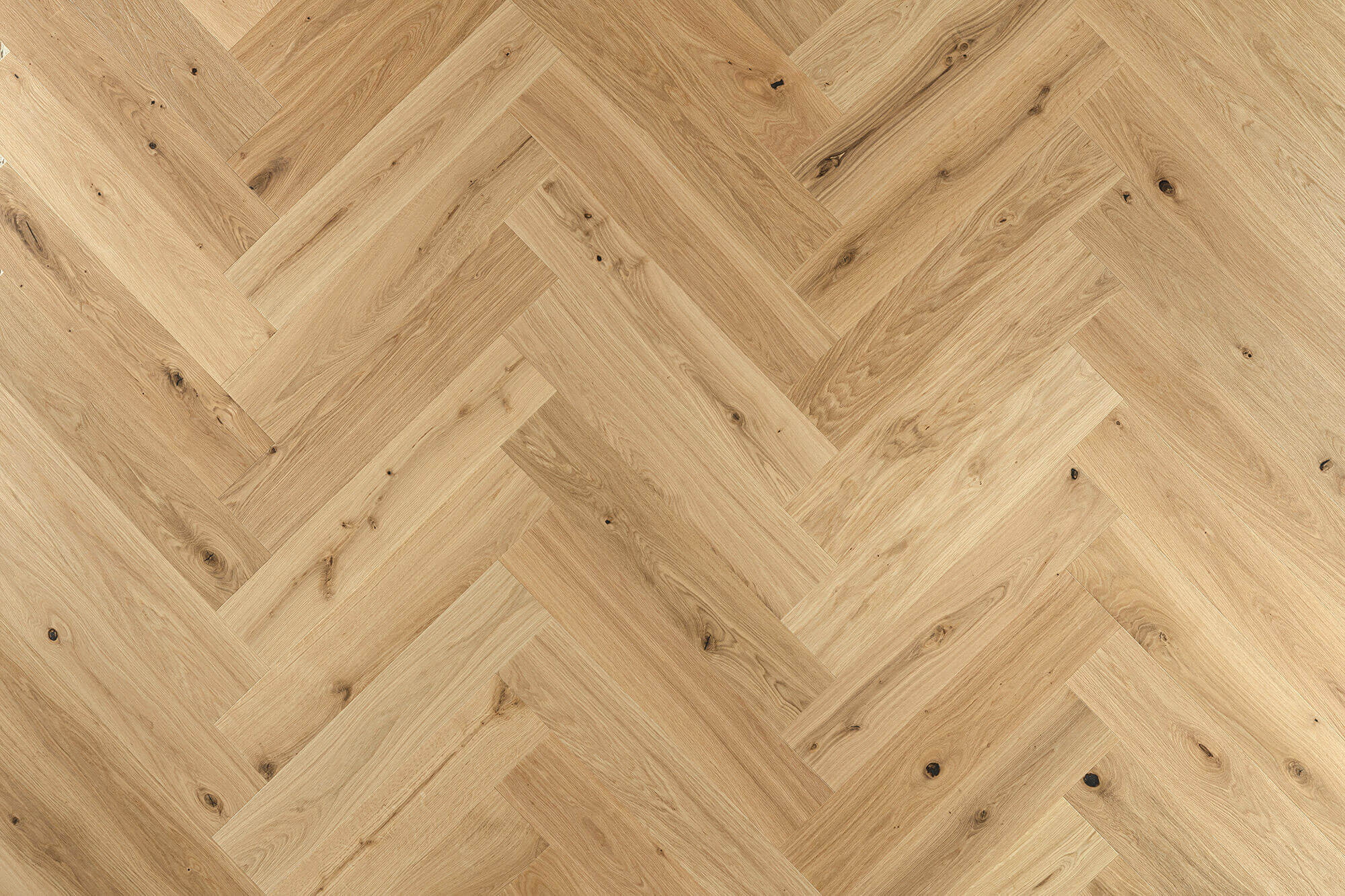 Landeiche Fischgrät Astig Weiss Fläche