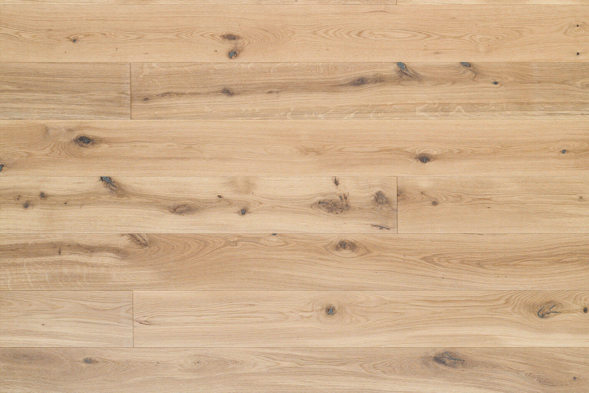 Wildeichenholzboden Weiss Fläche