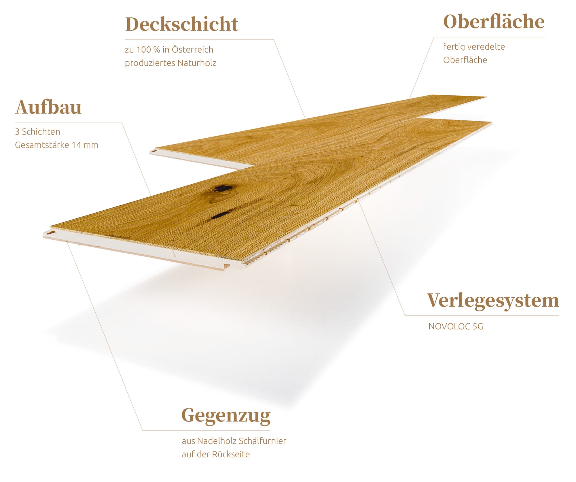 Eigenschaften von Landeiche