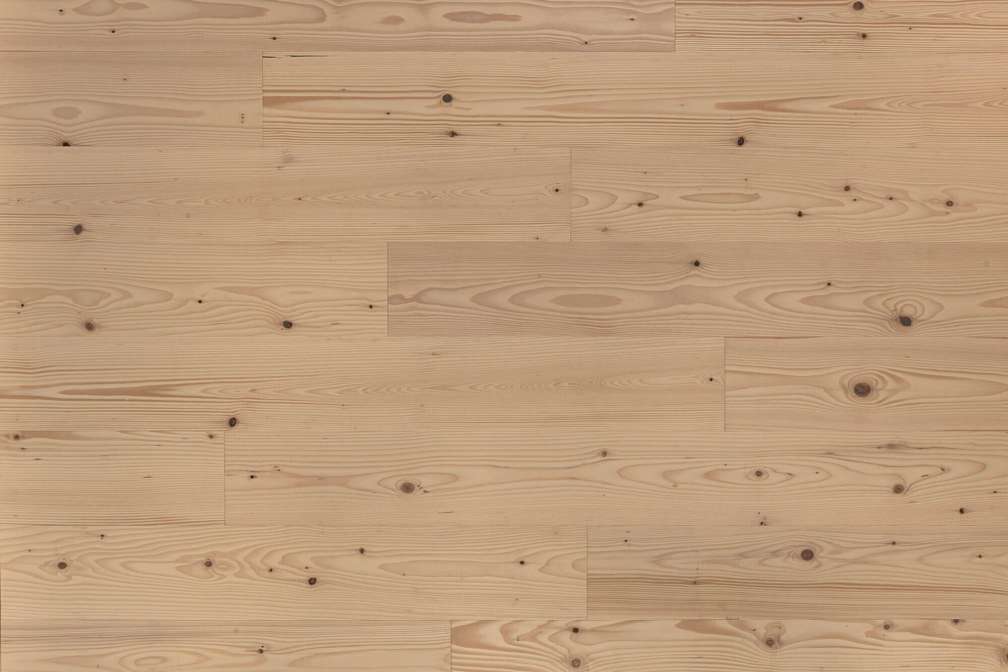 Nadelholzboden Tanne Weiss Fläche