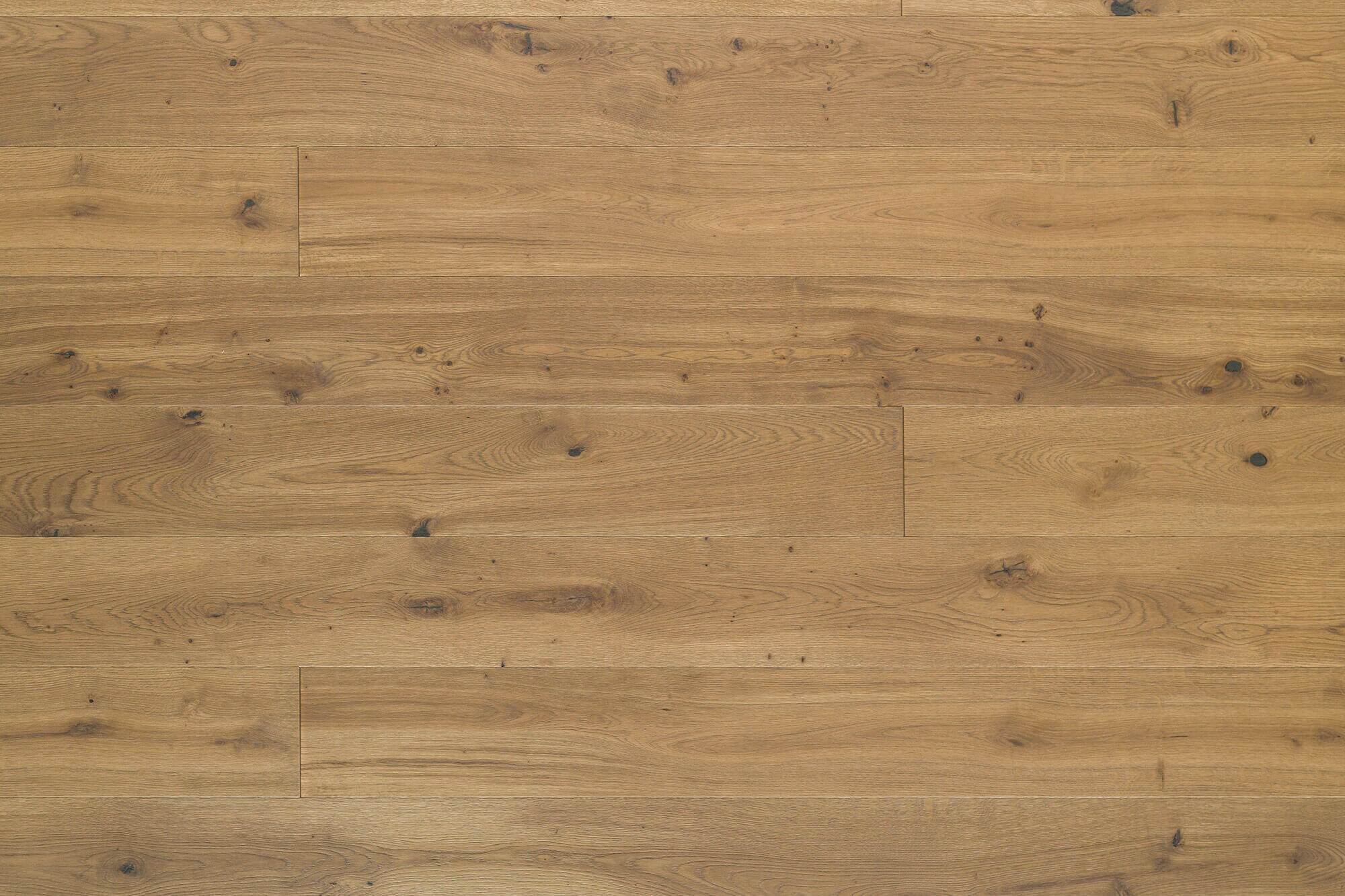 Wildeichenholzboden Fels Fläche