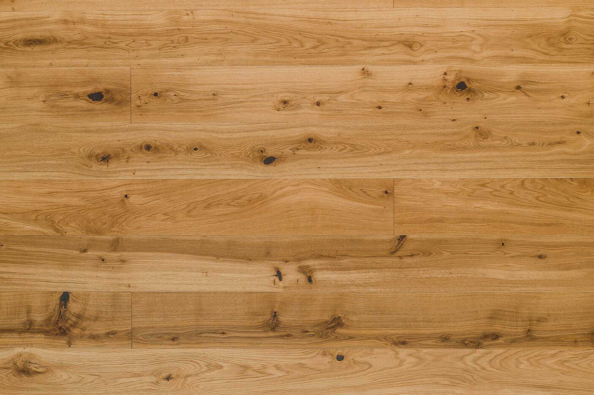 Wildeichenholzboden Natur Fläche