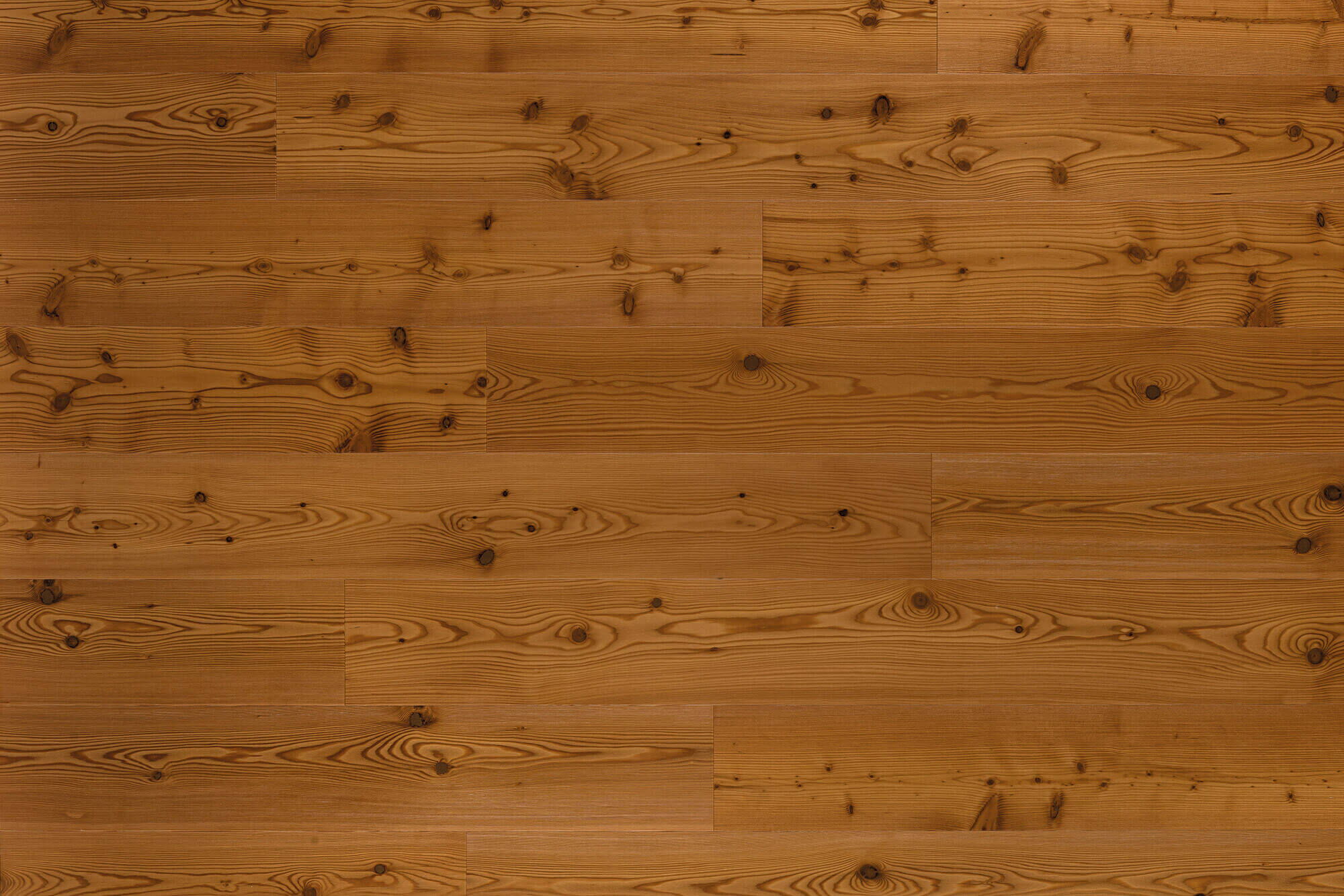 Nadelholzboden Lärche Alt Natur Fläche