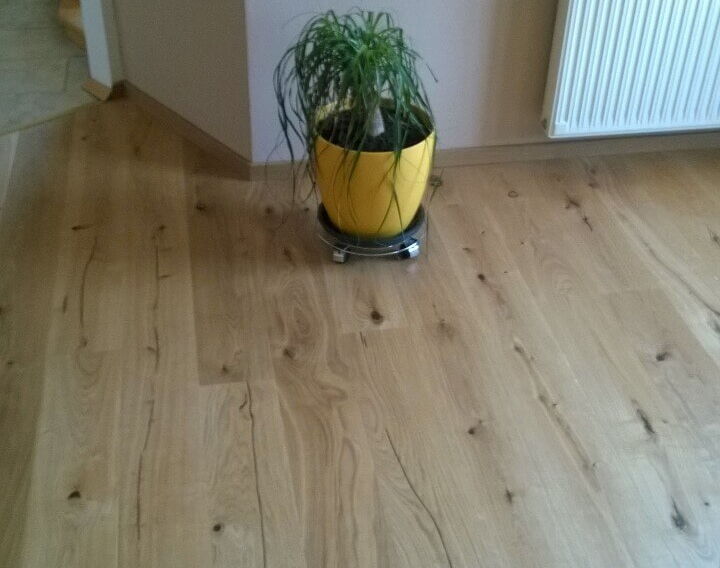 Landhausdiele Eiche Palermo in Raum mit Pflanze